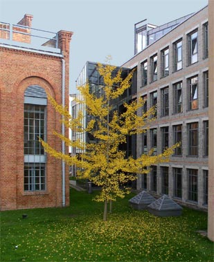 Institut fr Abfallwirtschaft (ABF-BOKU)